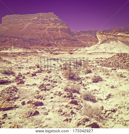 Rocky Hills of the Negev Desert in Israel at Sunset Instagram Effect