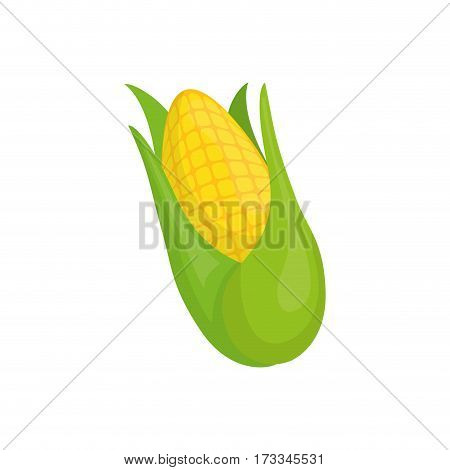 Delicious and fresh vegetable icon vector illustrration graphic design