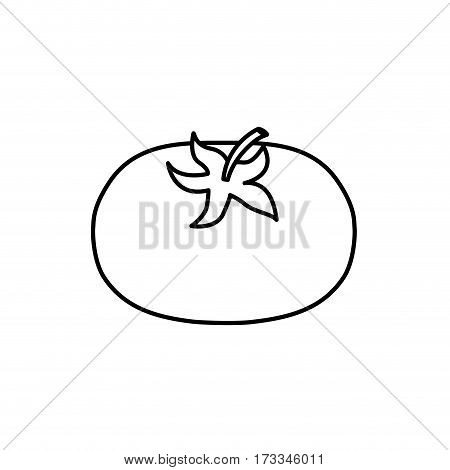 Delicious and fresh vegetable icon vector illustrration graphic design