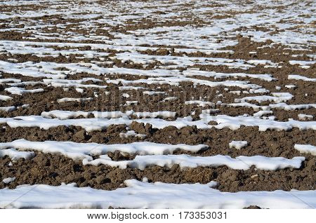 winter soil structure . Background . northern Bohemia czech republik