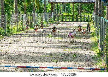 dog race competition moment - finish for monkey riding dogs - entertainment for tourists