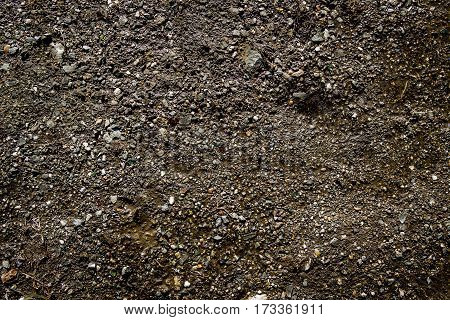 Soil, texture of the soil, soil texture, nature background, ground, stony ground