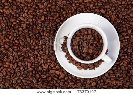 white cup of coffee beans at coffee beans