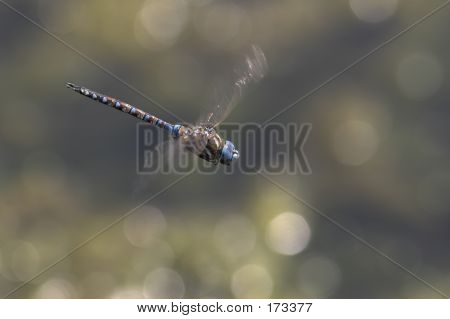 Vyhnout se Flak_093801