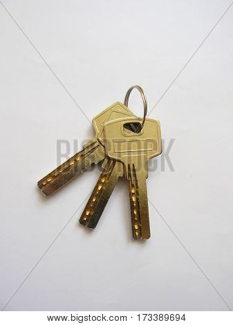 These little jingle the keys to the doors to a new apartment