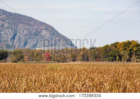 The road on Storm King Mountain is visible from Constitution Marsh a 270 acre wildlife sanctuary on the Hudson River.