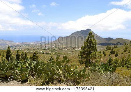 Boca Tauce in Mount Teide National Park view of the Atlantic coast in Tenerife