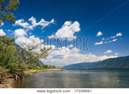 Strom a hory na pobřeží jezera. Altaj, jezero Teletskoe. Rusko.