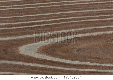 Brownd wood texture. Natural background for design. Extremely high resolution photo.