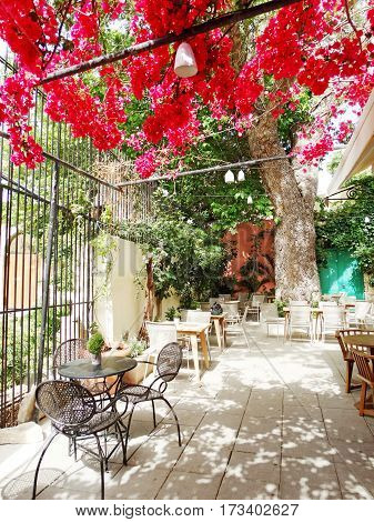 door architecture detail in house building with bougainvillea Greece