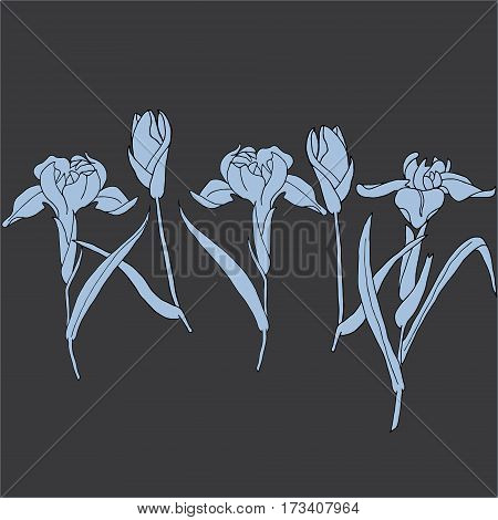 Flower Iris Doodle Flourish graphic with ornate pattern.
