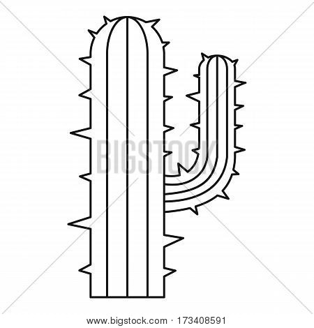 Desert plant icon. Outline illustration of desert plant vector icon for web