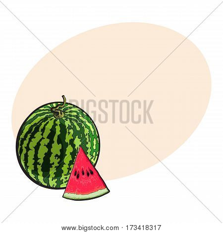 Whole striped watermelon with curled up tail and triangular piece with seeds, sketch style vector illustration with place for text. Realistic hand drawing of whole ripe watermelon and slice