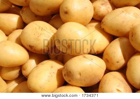 La patata bianca