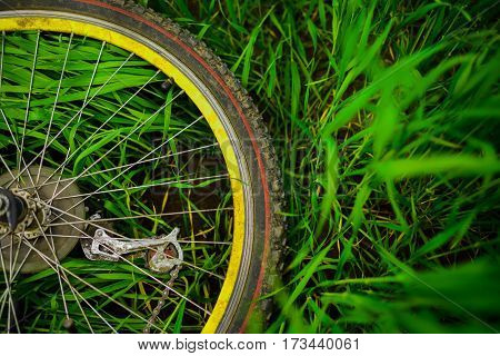 Bicycle Wheel On Green Grass