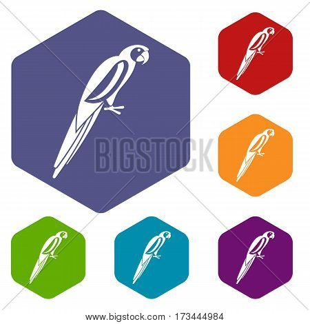 Parrot icons set rhombus in different colors isolated on white background