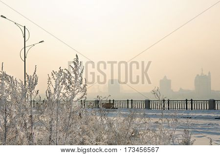 Gorgeous frost on the trees. Winter forest at sunrise in the bitter cold