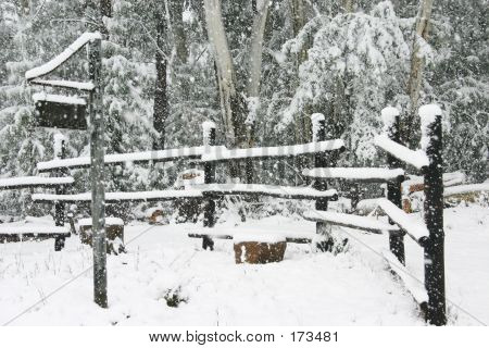 Snowlined Zaun