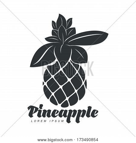 Black and white assymmetric graphic pineapple logo template, vector illustration isolated on white background. Stylized graphic pineapple logotype, logo design