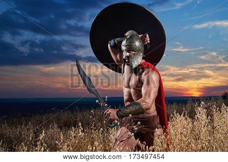 Powerful brave Spartan soldier with strong fit muscular body walking through the field holding his sword protecting himself with a shield copyspace war conflict fighter hero fearless concept.