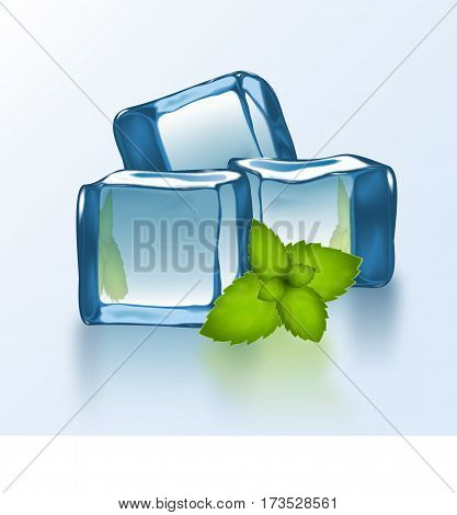 Vector Ice Blocks With Mint.eps