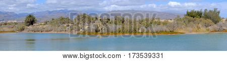 View on the natural reserve La Charca on Maspalomas with a lagoon mountains and sand dunes Gran Canaria Spain. Panorama format.
