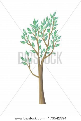 Tree with green leaves. Vector tree icon. Tree forest, leaf tree isolated, tree branch nature green, plant eco branch tree, organic natural wood illustration. Vector illustration