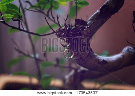Wedding flowers and beautiful shoes decoration beauty wedding bride