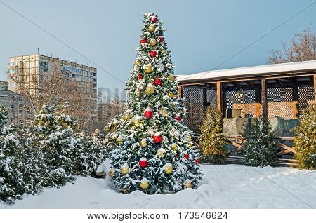 Beautiful snow covered Christmas tree in courtyard in the soft rays of sunset