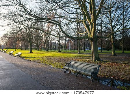 Park old Bench in the Morning Light autumn