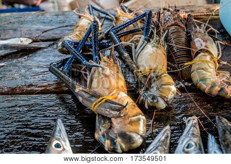 Raw giant freshwater prawn at morning market in Asia