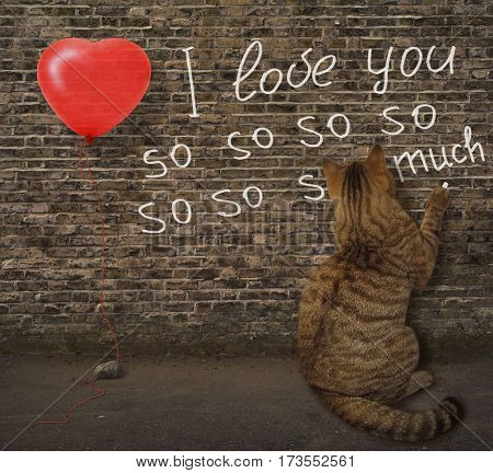 I love you so so so much. It is written on a wall. The cat in love did this.