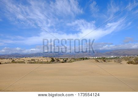 View on the dunes of Maspalomas and beautiful blue sky with white clouds and mountains and the natural reserve La Charca on the Canary Island Gran Canaria Spain.
