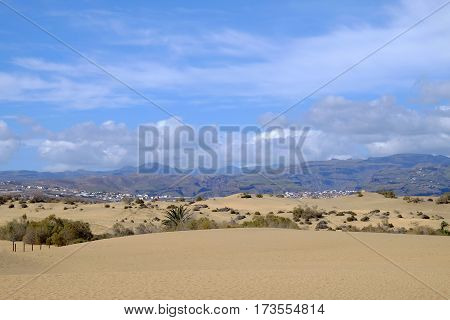 View on the dunes of Maspalomas and beautiful blue sky with white clouds and mountains and the natural reserve La Charca on the Canary Island Gran Canaria Spain.
