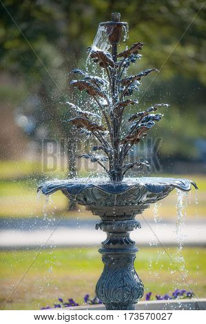 Water fountain in lush gardens of State Capitol complex in Austin, TX