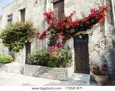 door architecture detail in house building with bougainvillea Greece