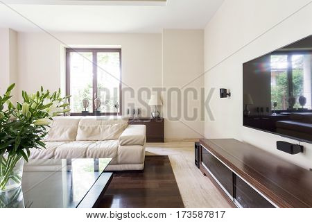 Elegant Living Room With White Couch