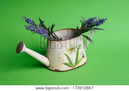 Watering Can With Flowers On The Green Bsckground