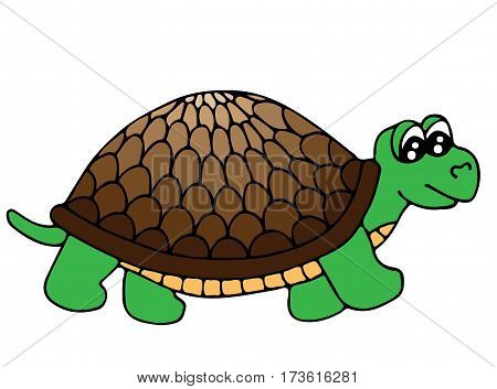 Cute colorful tortoise isolated on the white background. Turtle for coloring book and other child design.