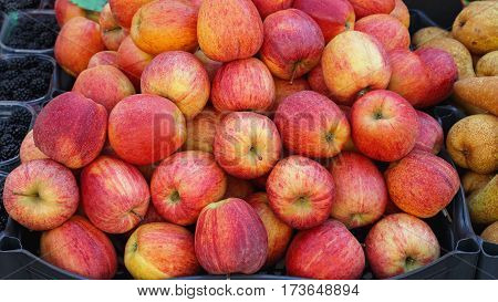 Bunch of Idared Red Apples Fruits at Market
