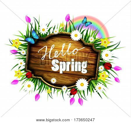 Spring wooden board on alawn with flowers blue butterflyes and ladybug
