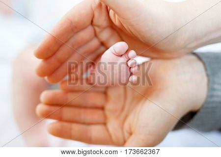 Father or mother holding foot of newborn baby. Adult hand and baby tiny baby feet. Happy parenthood, carefree childhood, family, love, tenderness.