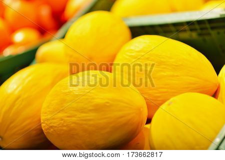 Fresh yellow melons displayed in a greengrocery.