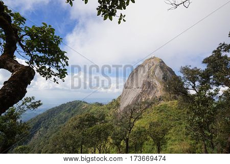 mountain in north Thailand through the fog