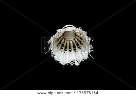 Bad condition badminton ball isolated on white background