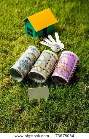 indian currency notes of rupees 100, 500 and 2000 in roll or stack with small home model, keys, toy car and calculator with blank board over green grass - home buying and finance concept in India