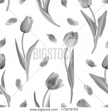 Seamless from gray tulips. Clipping Mask. Vector illustration. Not trace. Black and white background.