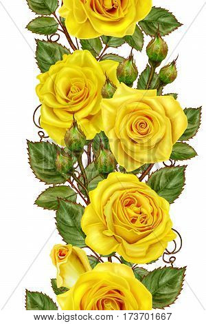Vertical border. Floral seamless pattern. Garland bright beautiful yellow roses. Isolated on white background.