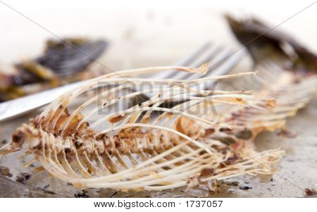 Kılçık plaka üzerinde