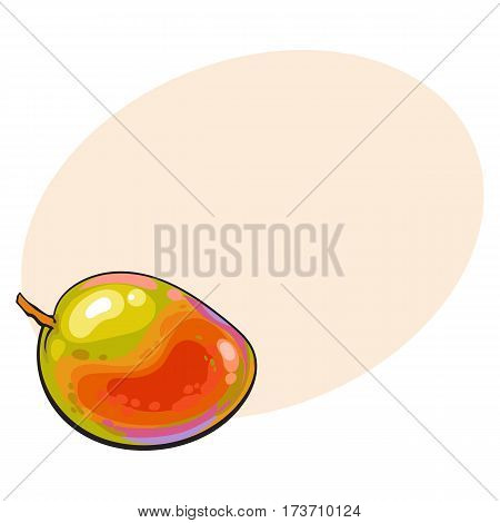 Whole unpeeled, uncut sweet mango tropical fruit in horizontal position, sketch style vector illustration with place for text. Realistic hand drawing of whole mango fruit